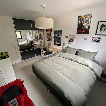 Contemporaine Avec Piscine