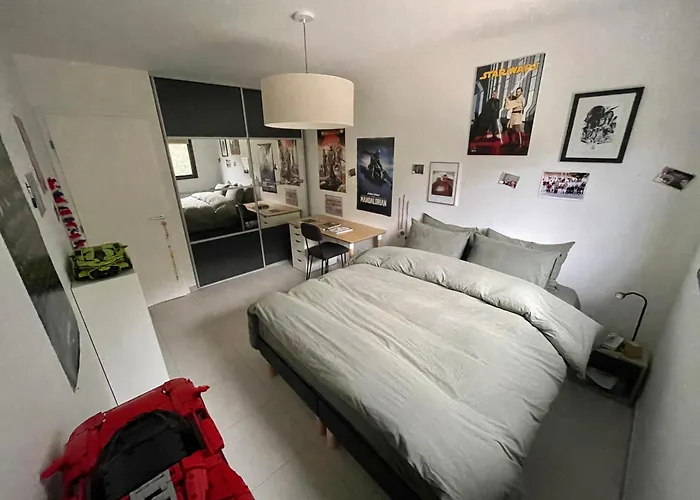 Contemporaine Avec Piscine